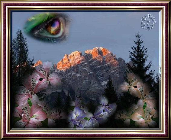 Bild zum Text von Hilde